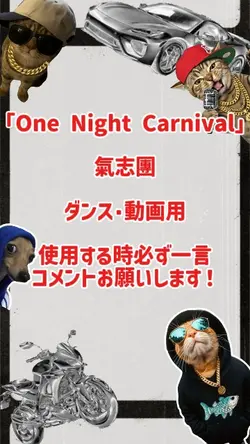 One Night Carnival