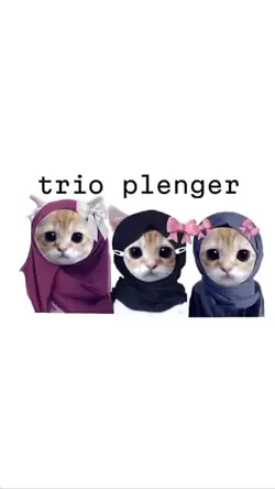 trio plenger