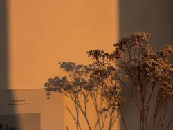 jannat-ayeshni aktar