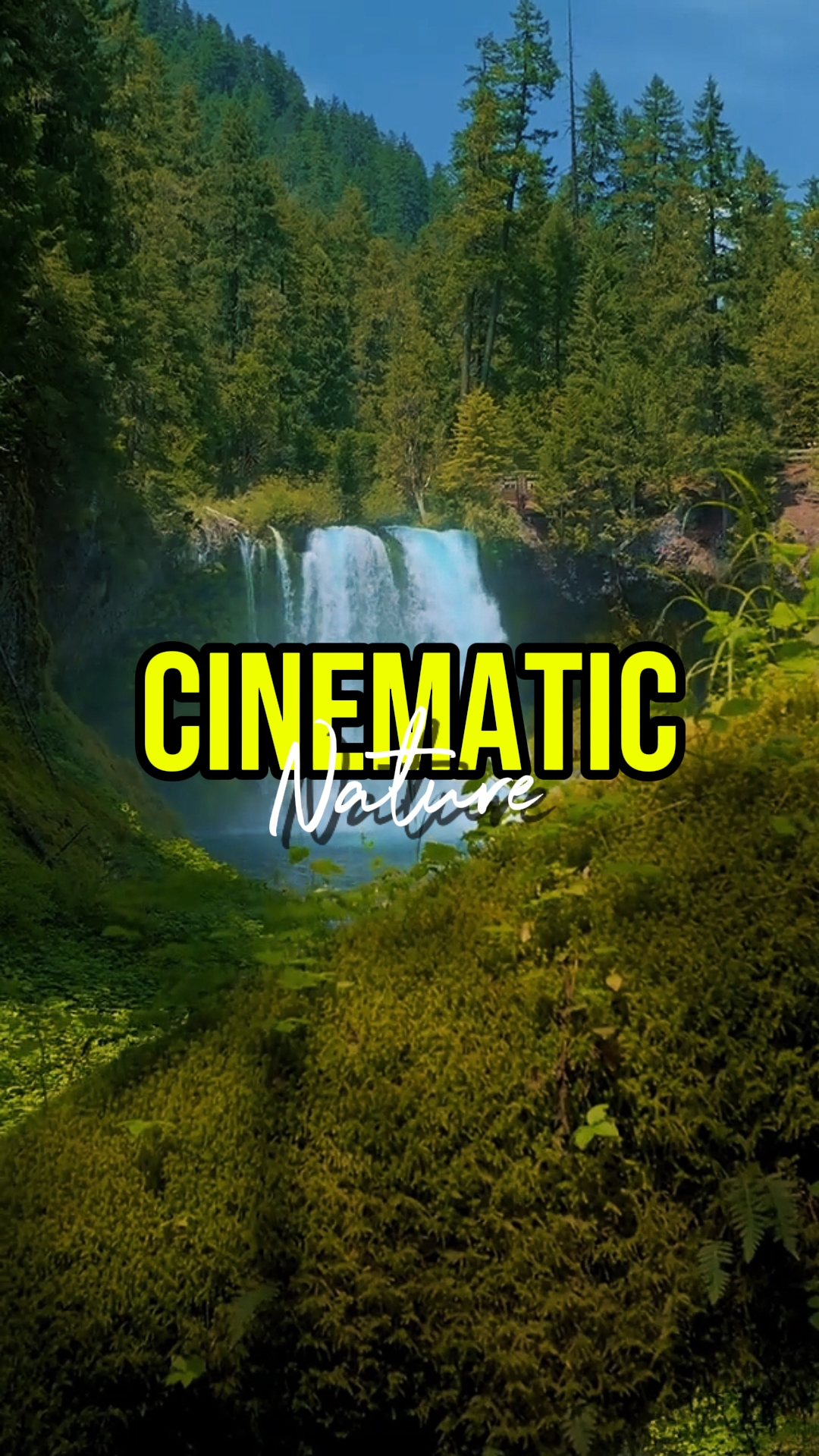 CINEMÁTICO