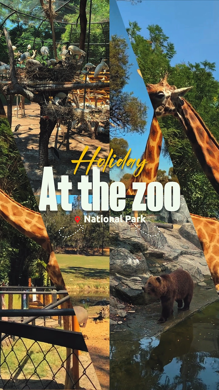 Holiday - at the zoo