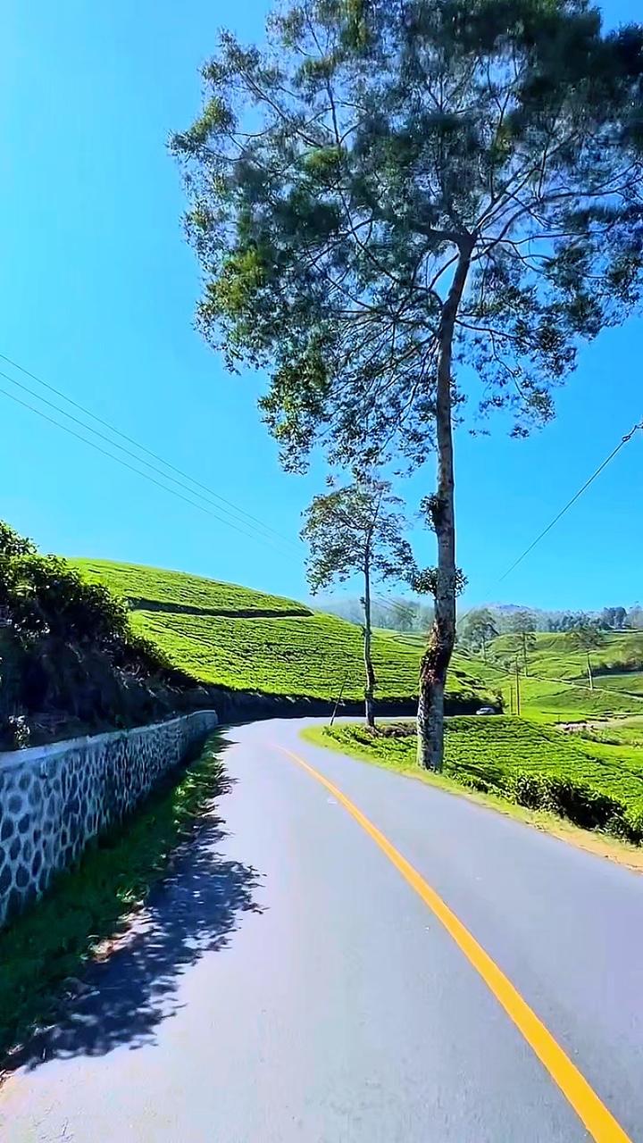 nature roadtrip
