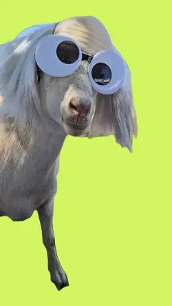 Goat Trend 