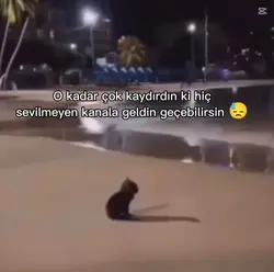 geç kankam :/