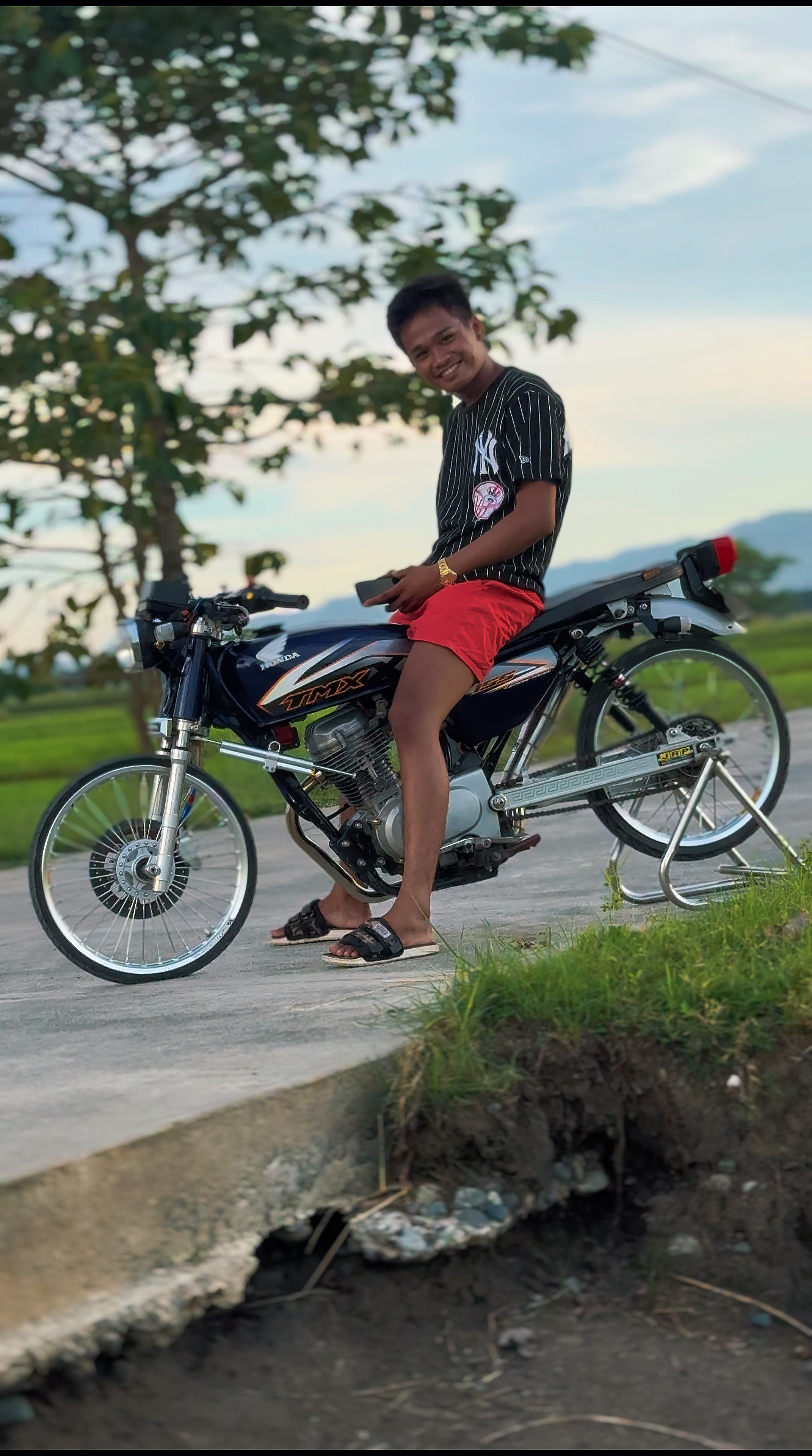 Cover Picture