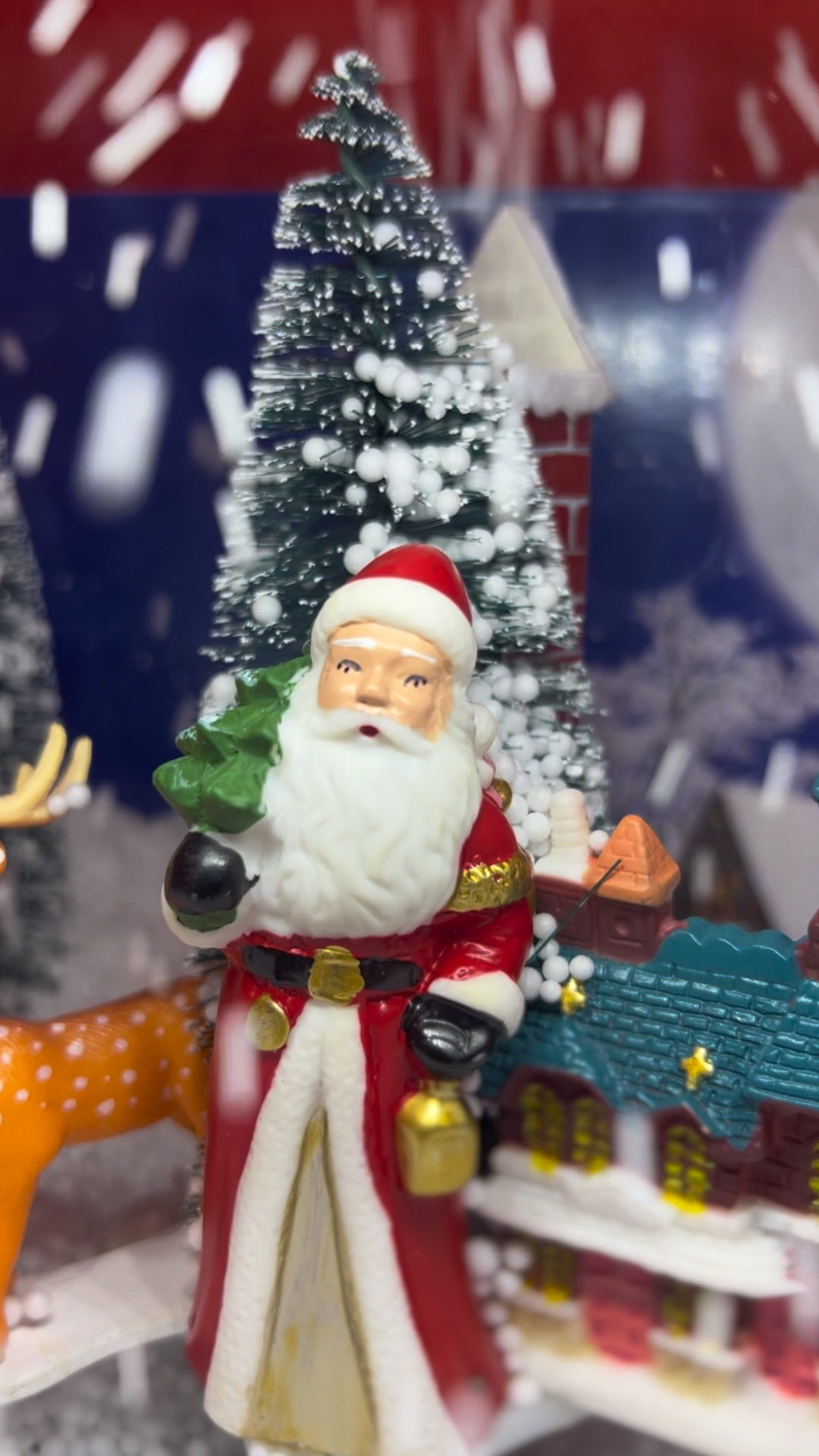 VIRAL NATAL