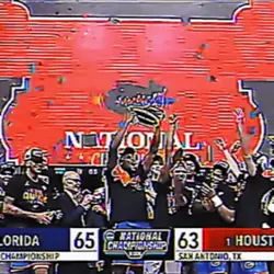 Florida 🔥☀️🐊