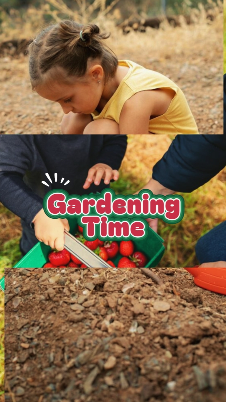 Tempo De Jardinagem
