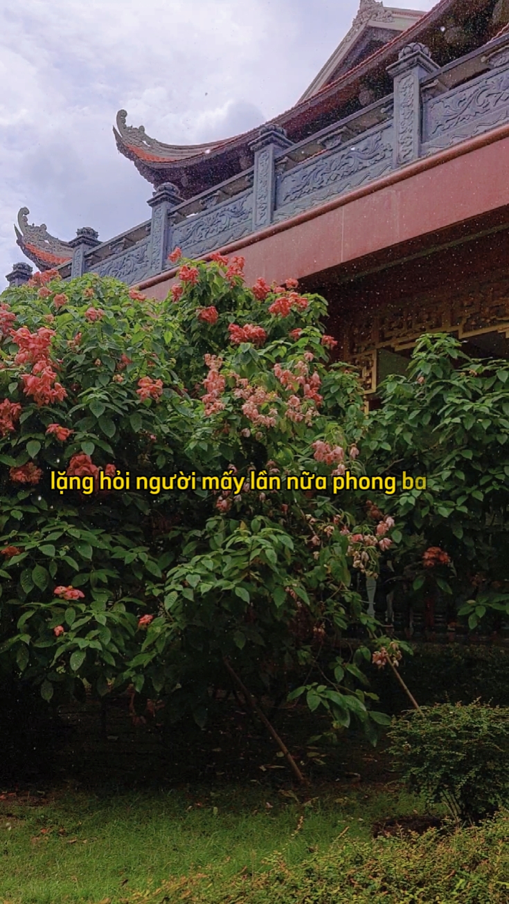 Khi mệt mỏi con về