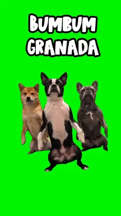 Bumbum Granada