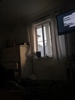 Ryuk 🍎