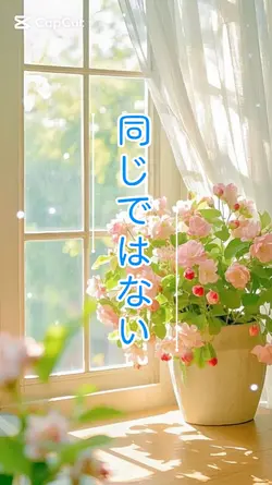 同じではない