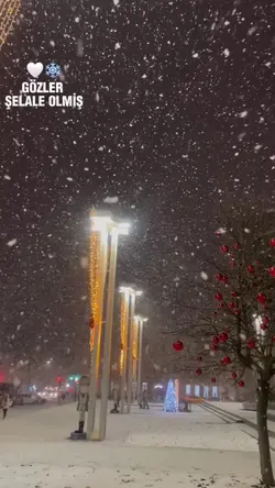 kar yağar sine sine