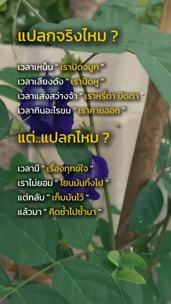 แปลกจริงไหม ?
