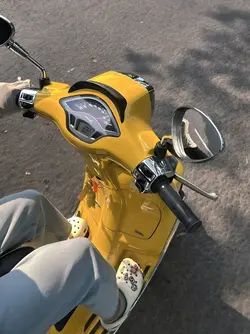 Aesthetic 