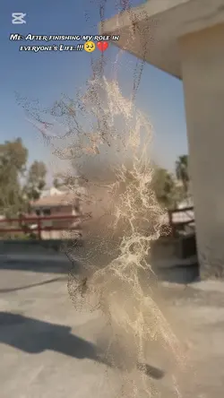 Disappear Trend