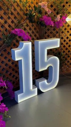 Aniversário 15 anos 