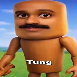 WHAT DOES THE TUNG