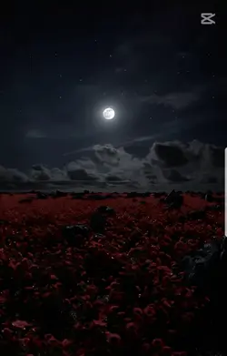 បើមិនមែនជាគូរ