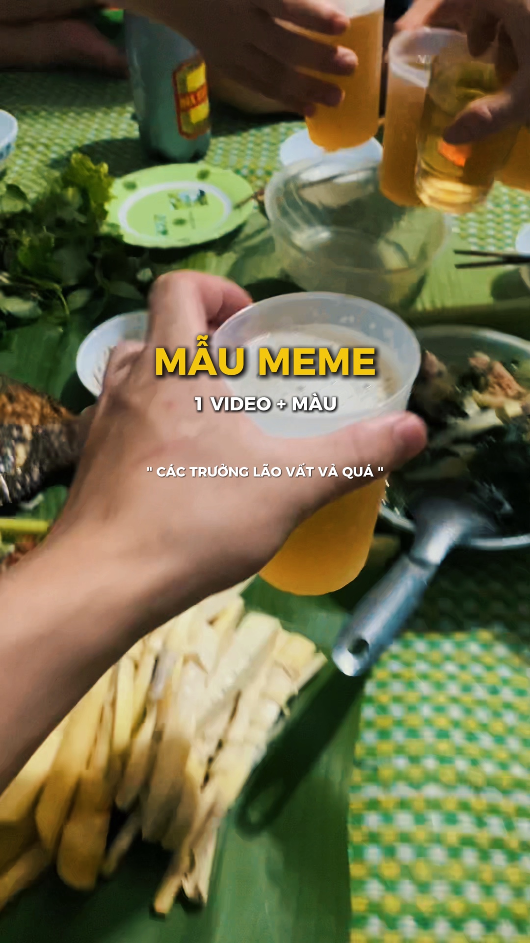 Các trưởng lão vất