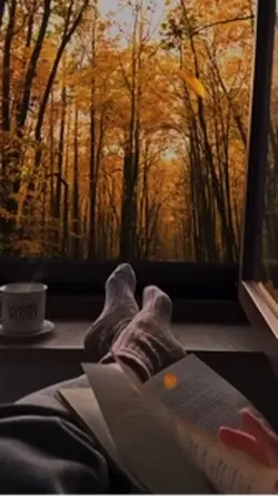 🍁🍂