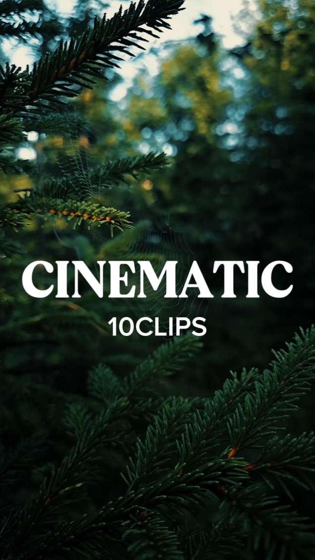 10 VIDEOS CINEMÁTICOS 