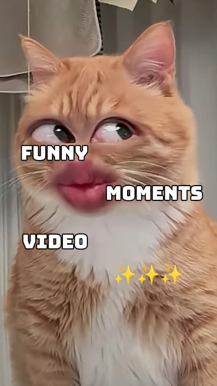 VIDEO MOMEN LUCU