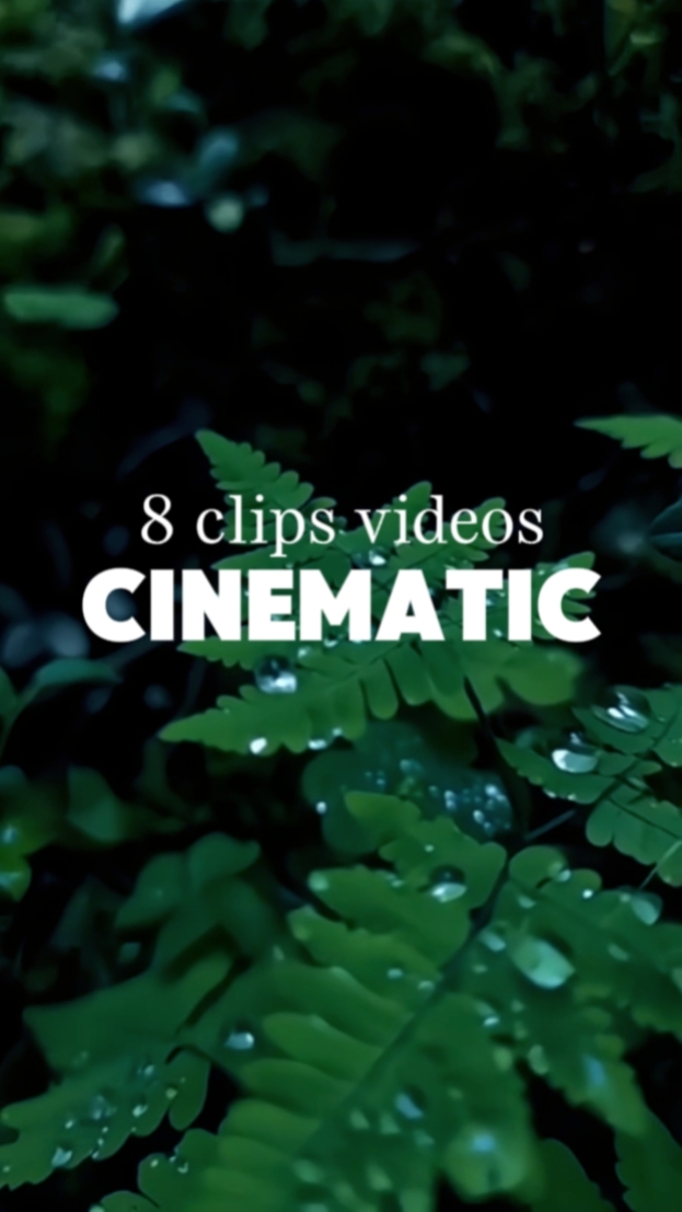Filmisch