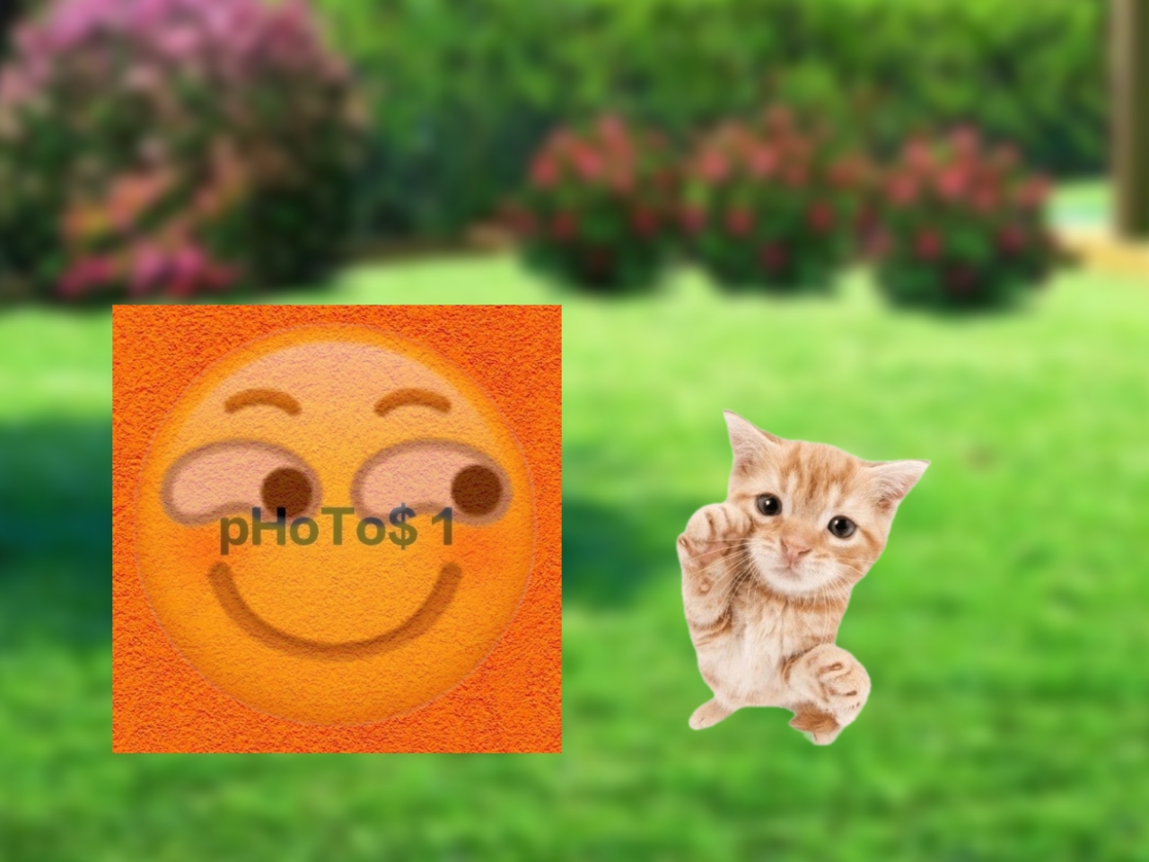 Template Kucing Viral