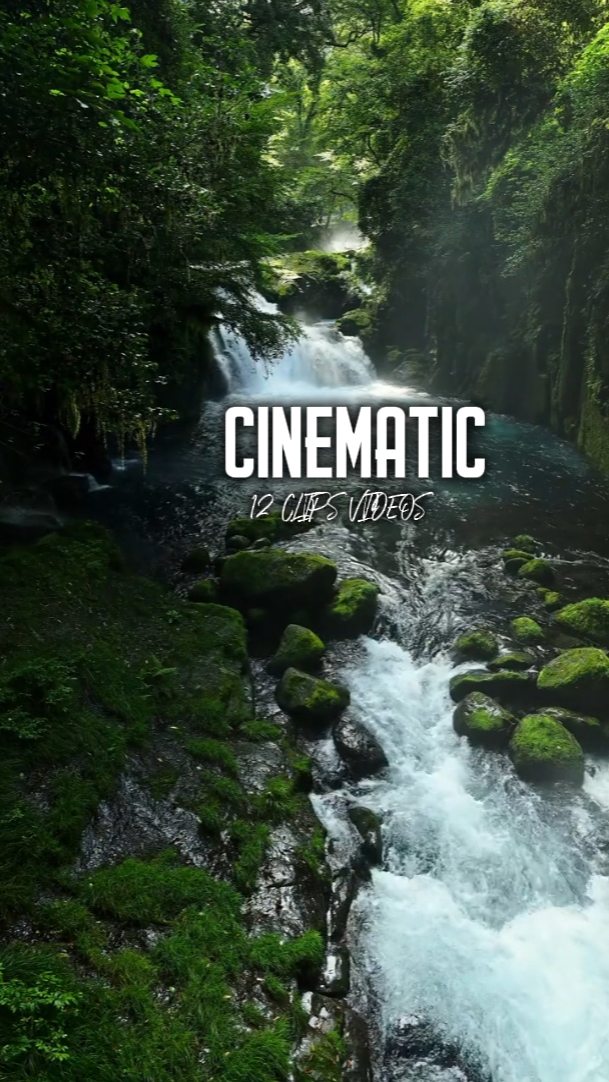 12 VIDEOS CINEMATIC