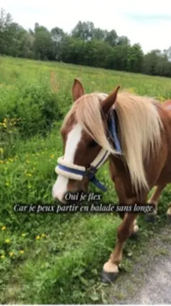 😆😆