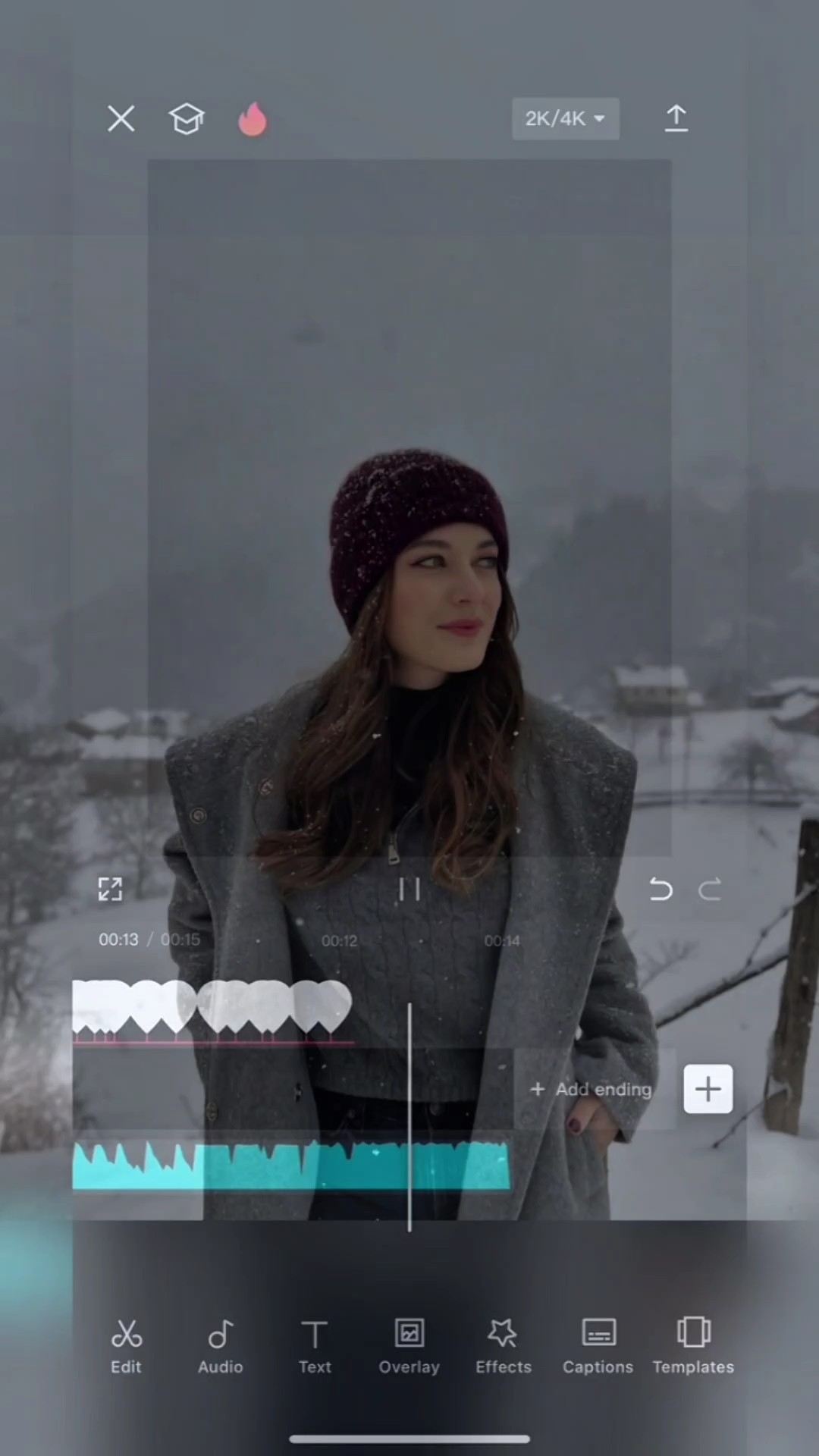 Cover Picture