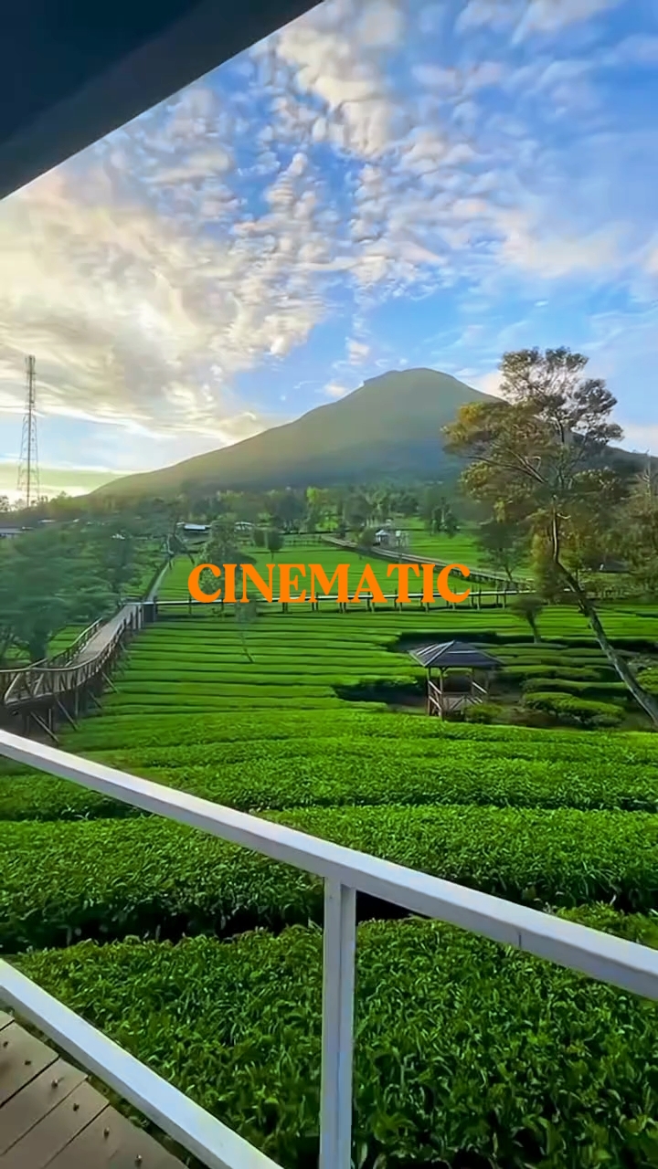 CINEMATIC