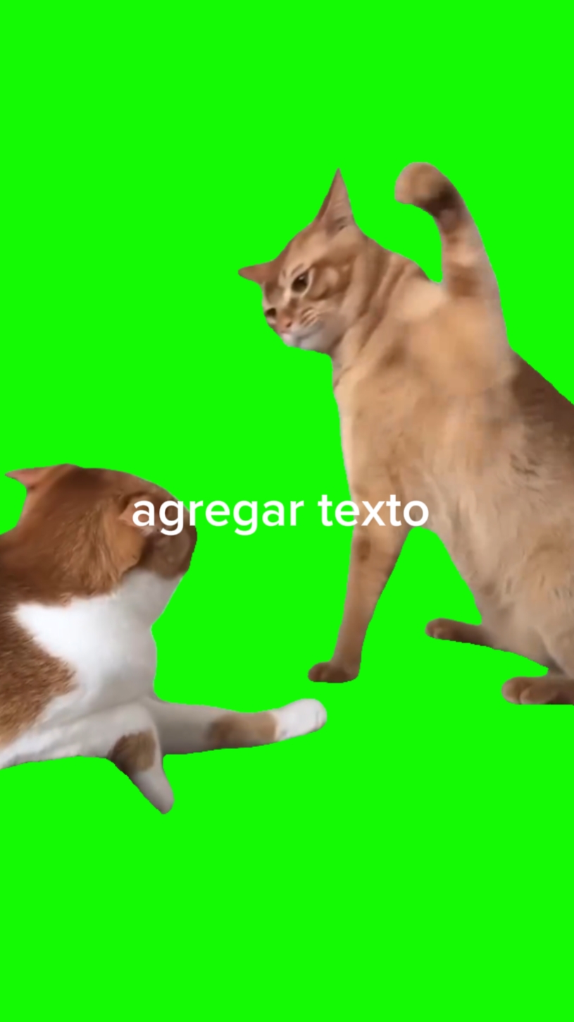 peleando gastos 