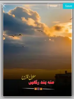 Talib Hussain Dard