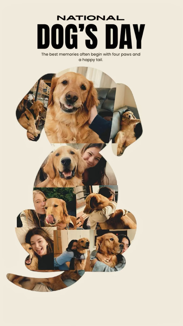 Mis Mejores Amigos 🐶