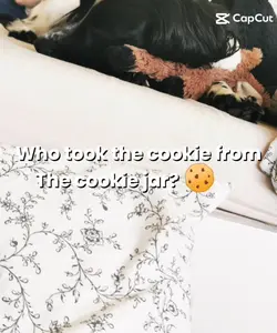COOKIESS