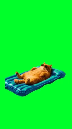 Orange cat chilling