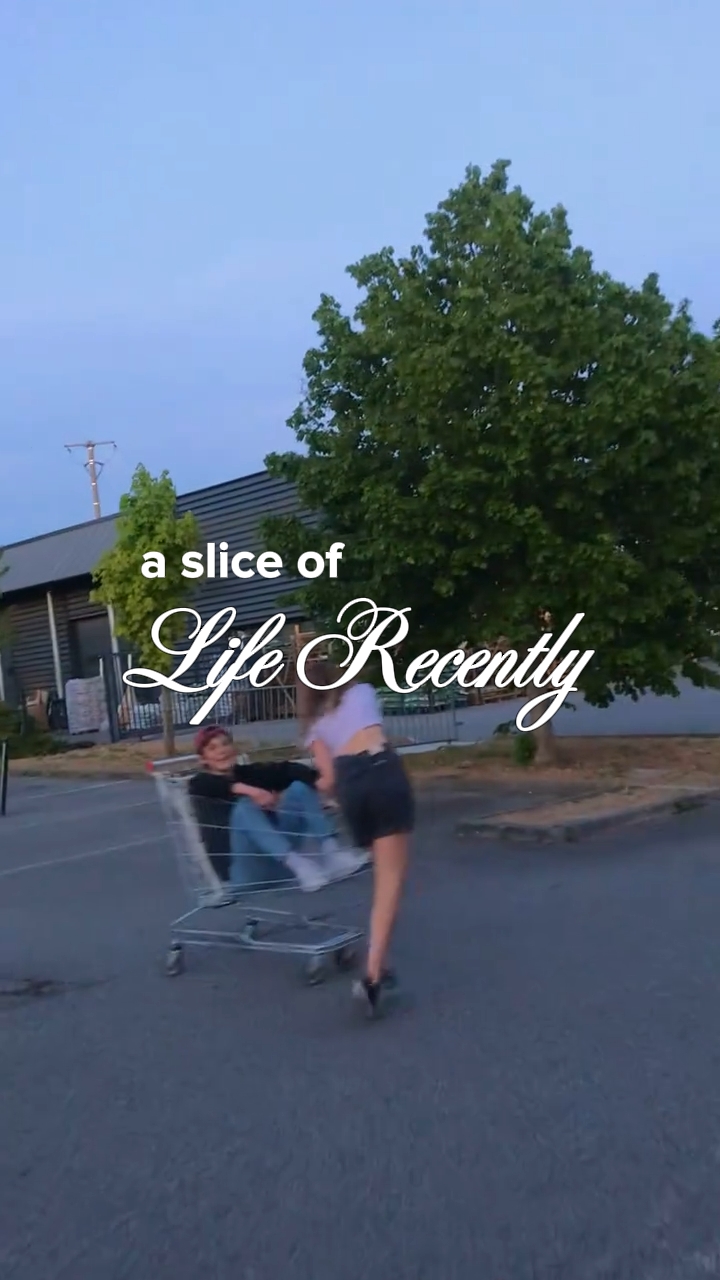 a slice of life