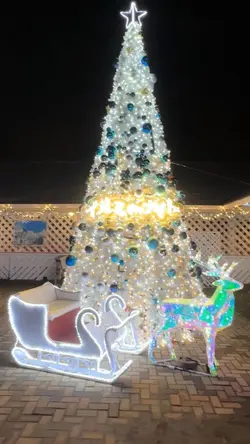 🎄 Christmas 🎅 🤶 
