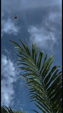 Tuhan selalu beserta