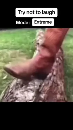 try not to laugh
