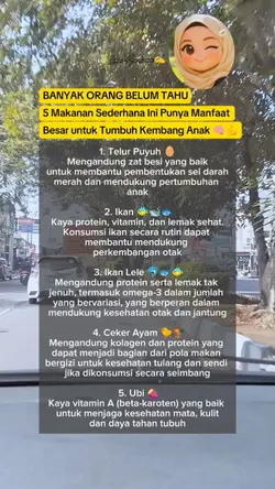 makanan sehat