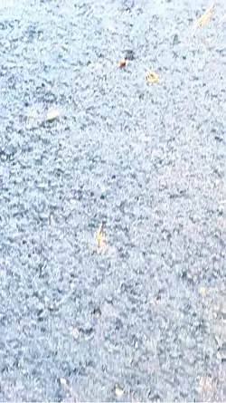 Filter Clear HD 