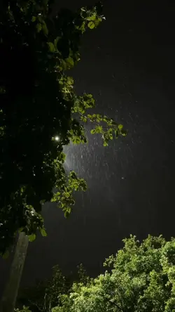 song sad 
