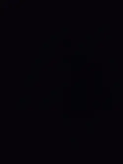 수학