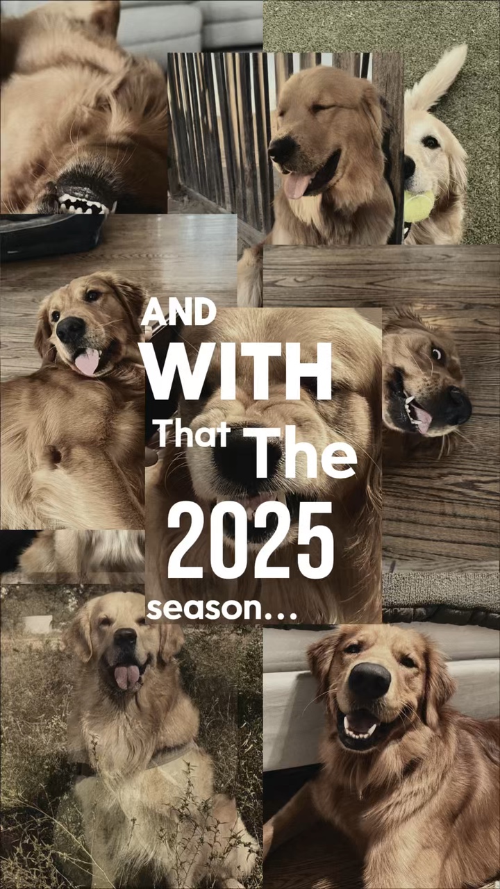 2025 Dog Recap
