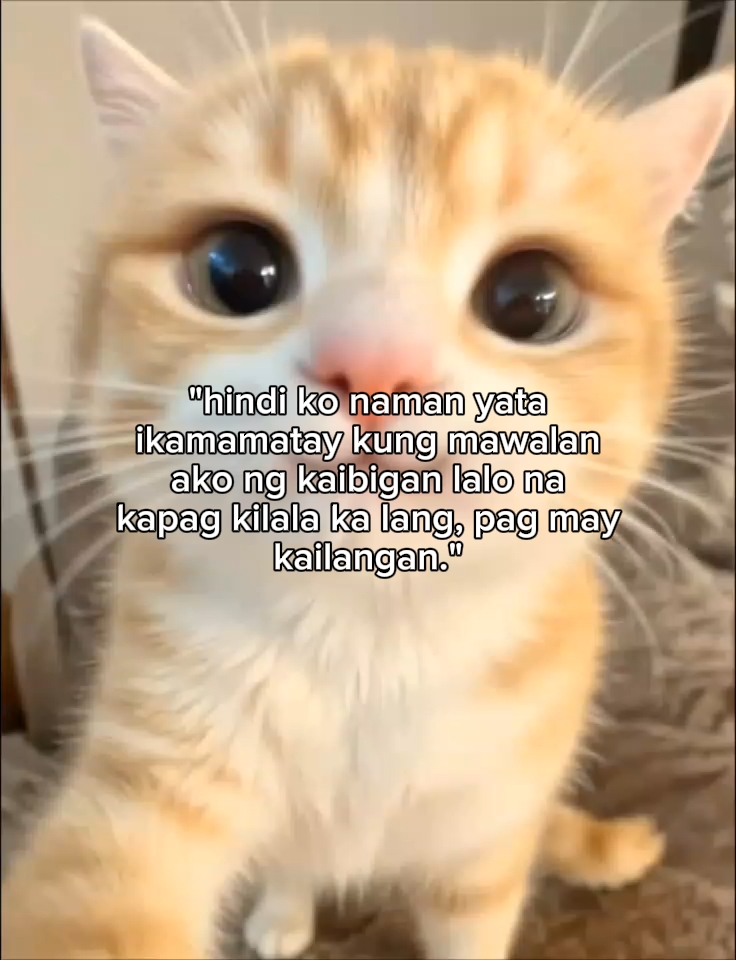 Hindi naman yata não?