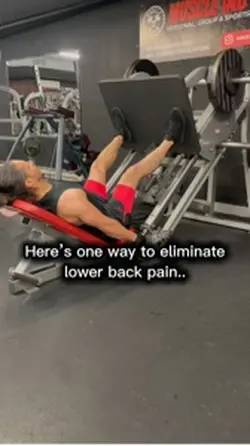 Back Pain Fix π