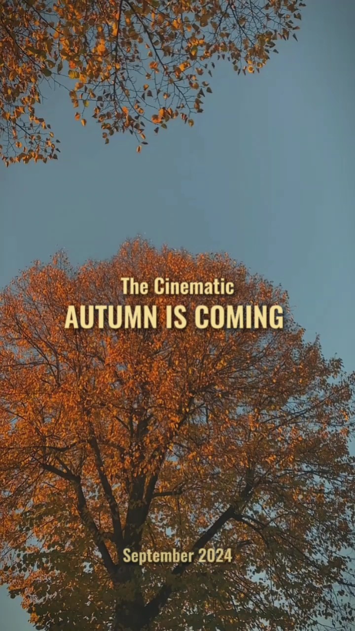 L'automne arrive